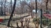 A park in Tehran whose trees may be cut down to build a mosque.