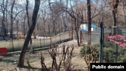 A park in Tehran whose trees may be cut down to build a mosque.