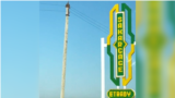 Bezeg suraty