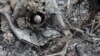 Images published by media in Transdniester claimed that a kamikaze drone hit a helicopter near Tiraspol.