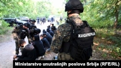 Serbian police detain refugees and migrants in the border zone between Serbia and Hungary on September 12.