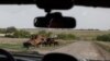 Данные о погибших в Украине: еще 36 военных с юга России и Северного Кавказа