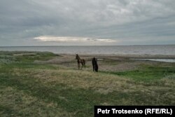Horses graze near the lake in the village of Ozernoye.
