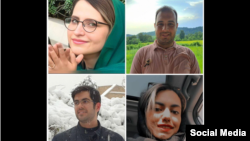 مطهره گونهای، مهدی هادیزاده، کیان بنیهاشمی و فاطمه غریبی