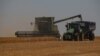 Ukrainian grain has been moved through so-called "solidarity corridors" in Central Europe on its way to third countries. (file photo)