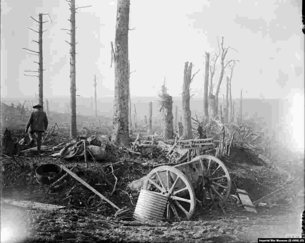 A damaged cart in front of shrapnel-stripped trees near Courcelette, in northern France, in March 1917. 