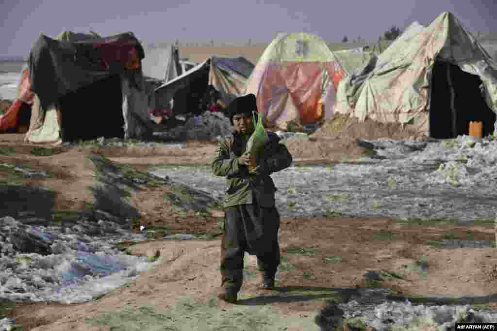 "We expect the cold wave to continue for another week or more," Muradi said. 