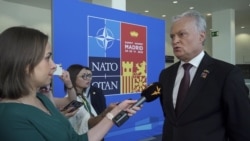 Polish, Lithuanian Leaders Call For More Military Help For Ukraine At NATO Summit