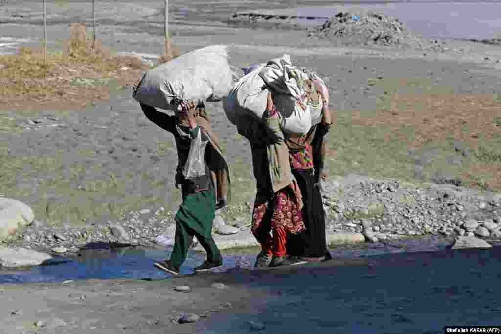 Afghan girls collect firewood for their homes in the Kuz Kunar district of Nangarhar Province on January 16. 
