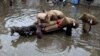 Men unload sacks of onions from a donkey cart amid a flooded marketplace after heavy rainfall in Lahore. Farmers in Balochistan have protested the import of tomatoes and onions from Iran, saying their own crop is ready for the market. 