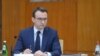 Direktor Kancelarije za Kosovo u Vladi Srbije Petar Petković 