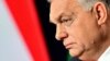 Despite not getting quite what he wanted, the whole affair has been a boost for Brand Orban. 