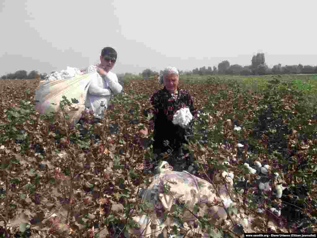 The compulsory work is carried out by pensioners as well as working adults of all backgrounds.