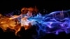 ფოტო: Shutterstock