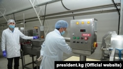 The head of the State Inspection for Veterinary and Phytosanitary Safety said Bishkek received no formal notification from its Russian counterpart agency but was "ready to fulfill any request" from Rosselkhoznadzor. (illustrative photo)