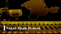 Радио Крым.Реалии/ Возможна ли новая русско-турецкая война, или какой будет реакция на сбитый Турцией самолет и сбитый сирийскими повстанцами вертолет?
