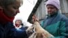 Britain Confirms First Case Of Lethal Bird Flu