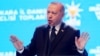 Президент Турции Реджеп Тайип Эрдоган (архив)