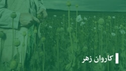  محمد ایوب فیقی: طالبان و جامعه جهانی به نیازمندی‌های دهقانان رسیده‌گی نکرده اند
