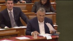 'Lex COVID': Hungary's Orban Accused Of Power Grab
