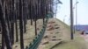 Курапаты без крыжоў