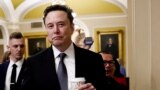 Elon Mask