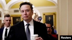 Elon Mask