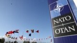 Aspiratat e Kosovës drejt NATO-s: Çfarë është Partneriteti për Paqe?