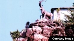 Locals felt outsiders were mocking their ibex statue.