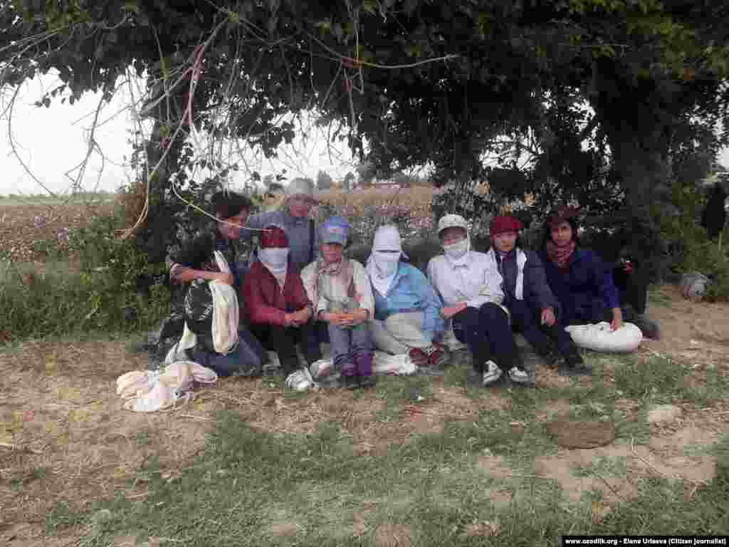 Rights advocates have long criticized Uzbek authorities for ordering citizens to carry out forced labor in the cotton fields.