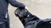 Пакет законодательных изменений, касающихся правил выгула и содержания домашних питомцев, сейчас находится в стадии разработки и в скором времени будет представлен парламенту Грузии