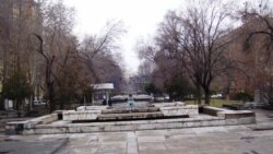 Իշխանությունները չպետք է թույլ տան Մաշտոցի պուրակում սրճարան կառուցել. Հայկական բնապահպանական ճակատի անդամ