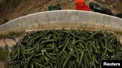 The German authorities had originally blamed Spanish cucumbers for the outbreak.