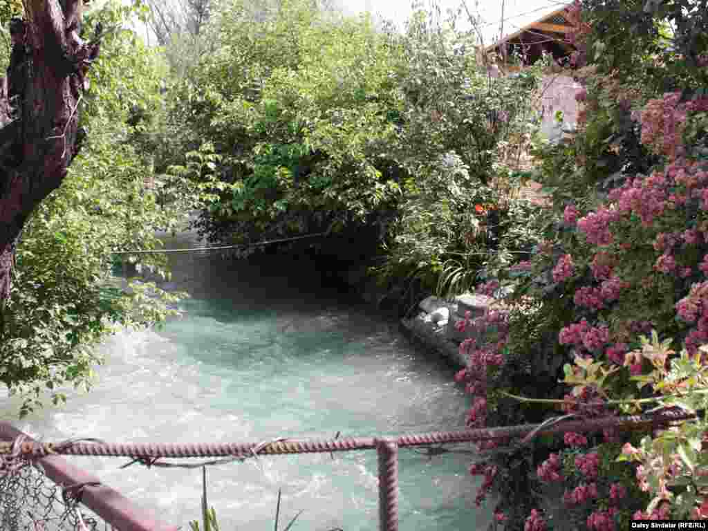 A lush summer scene outside an Uzbek mahalla in Osh.