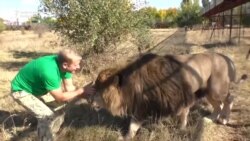 Crimean Safari Park Fights For Survival
