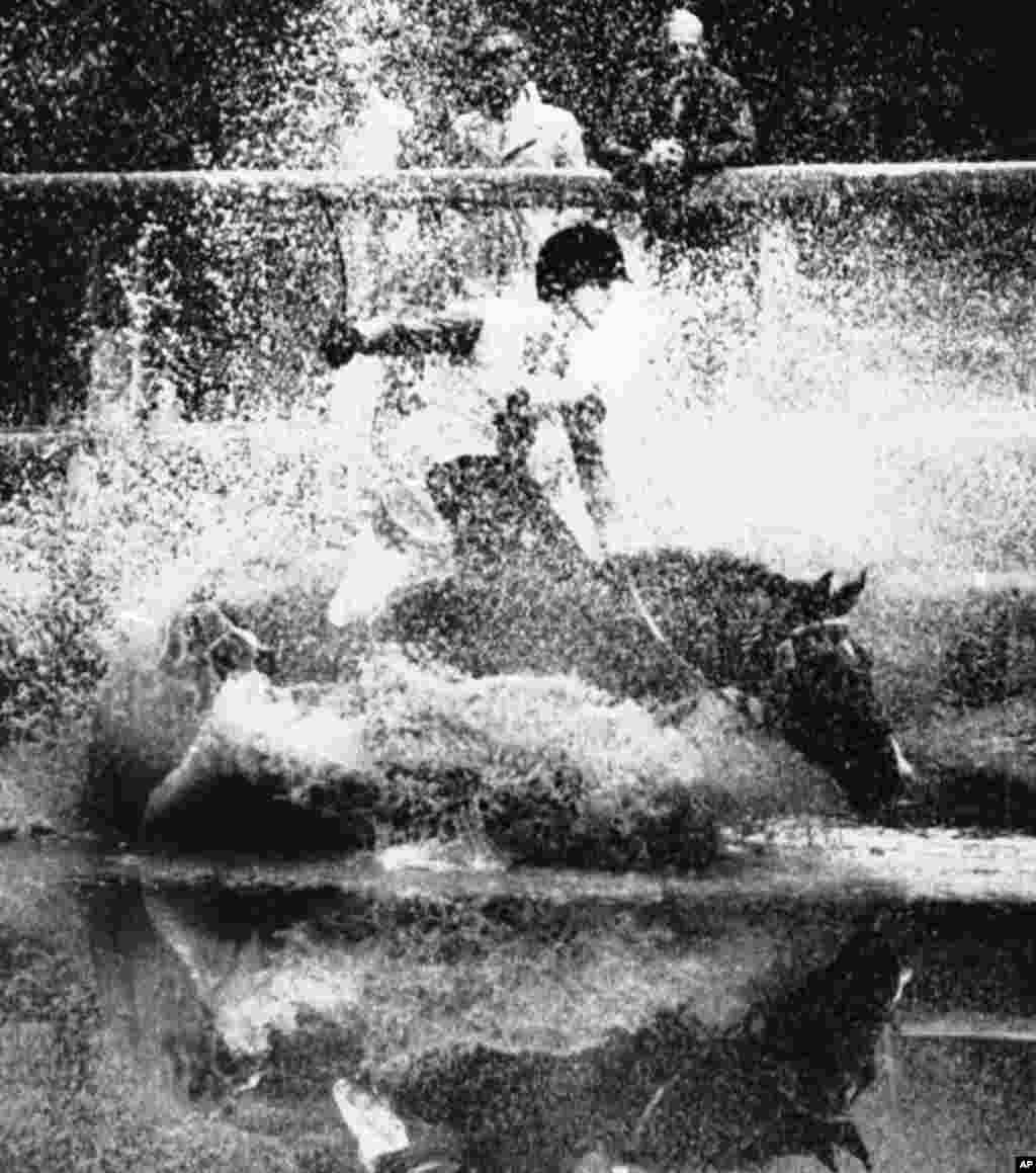 Istvan Grozner of Hungary and his horse Biloros stumble during the equestrian event. 