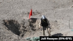 د ځمکنیو ماینونو د مخنیوي نړیوال پروګرام د شمېرو له‌‌‌مخې، په نړیواله کچه، په ۲۰۲۳ کال کې د ځمکنیو ماینونو د تلفاتو ټولیز شمېر ۵۷۵۷ و، چې ۱۹۸۳ تنه مړه او ۳۶۶۳ تنه یې ټپیان شوي دي.