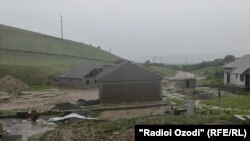 Акс аз соли 2021