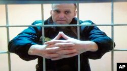 Aleksei Navalny's supporters last month said he was suffering from significant stomach pain, which they said could be a sign of a slow-acting poison. (file photo)