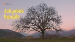 პანკისის სტიგმა
