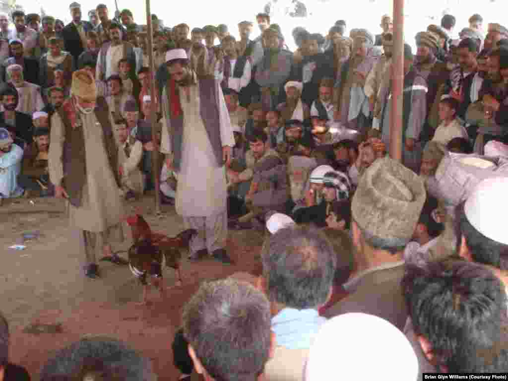 The Friday afternoon chicken fights in Kabul were a favorite pastime that was banned by the Taliban. Men bet on winners in the capital's Garden of Babur, built around the marble grave of the 16th-century Chagatai Turkic conqueror of India who created the Moghul dynasty, famous for building the Taj Mahal.