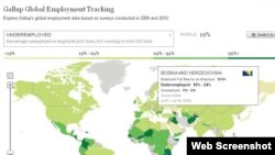 Pagină a sondajului Gallup: Global Employment Tracking