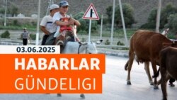 HG: Türkmenistanyň günortasynda mallar keselden gyrylýar
