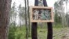 Памятны знак на Зарубіцкім участку Індурскага лясьніцтва, дзе высаджаны лес у гонар Васіля Быкава