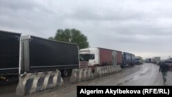 Иллюстрациялык сүрөт.