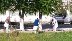 Prezident kakasyny sorap, çäreleri guramaçylykly geçirmegi tabşyrdy