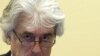 Karadzic Files Motion To Remove Appointed Lawyer