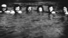 Grupul de acțiune Banat, în urmă cu 35 de ani