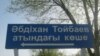 Указатель с надписью "улица Абдихана Тойбаева" в селе Туганбай Алматинской области. 12 апреля 2013 года.