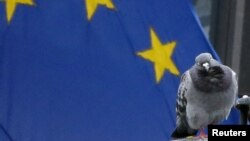 Белги -- кхокха бу Европан Бертан уллехь хиина Iаш, Брюссел, 13Гез2012